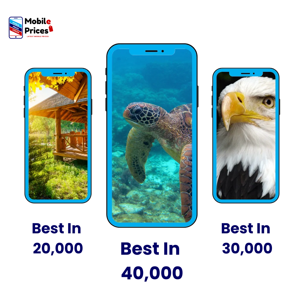 Mobile phone ad. Stunning underwater scene with a sea turtle and a soaring eagle. Show mobile phones at great prices.